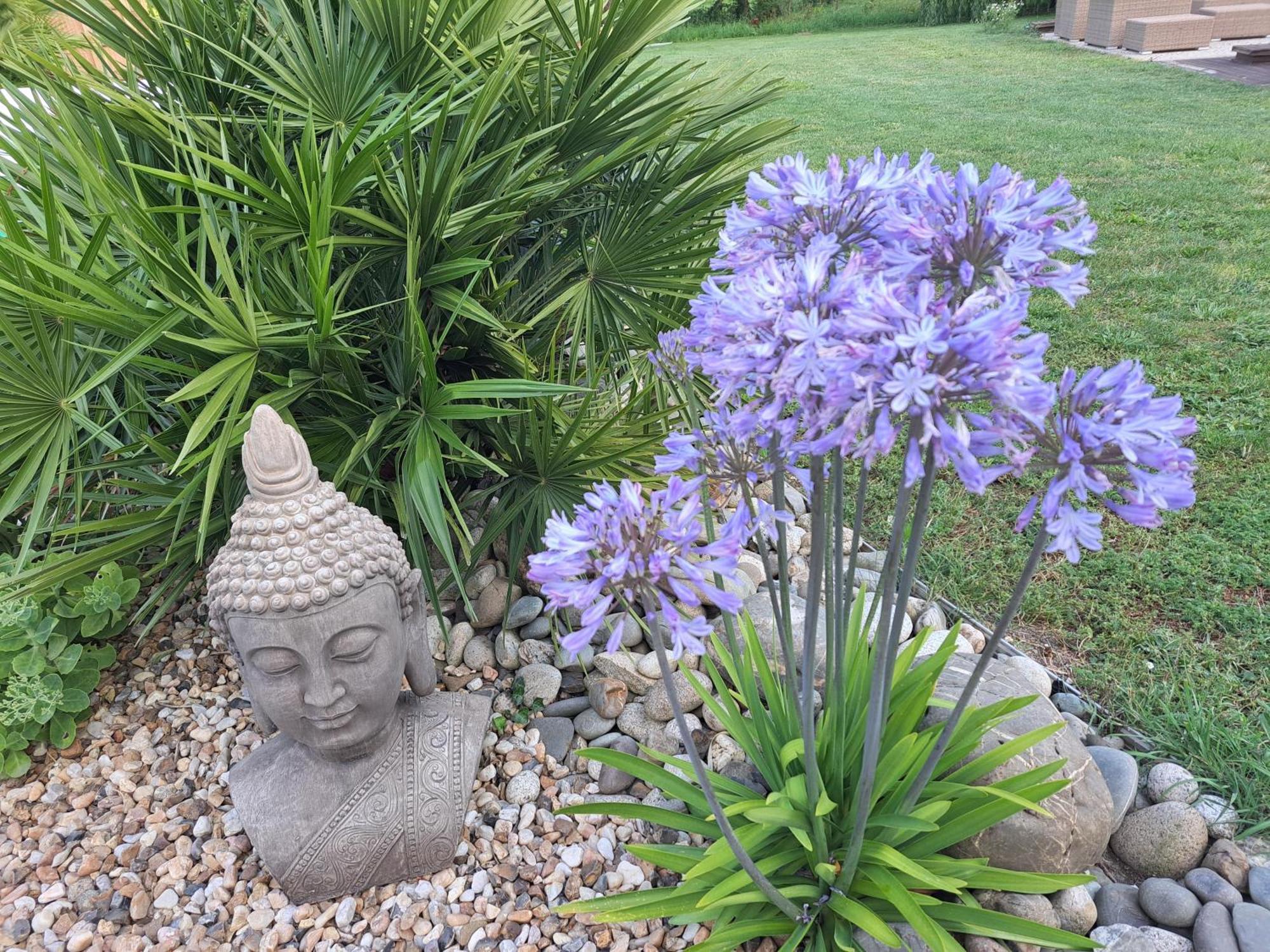 Chambre D Hote La Riviere 45M2 Jardin Et Piscine エグファイユ・ドニ エクステリア 写真